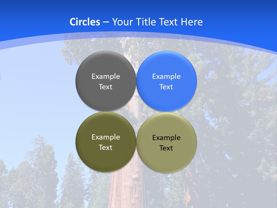 Sequoia National Park Green PowerPoint Template