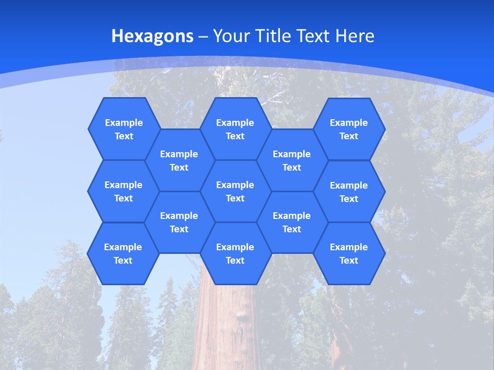 Sequoia National Park Green PowerPoint Template