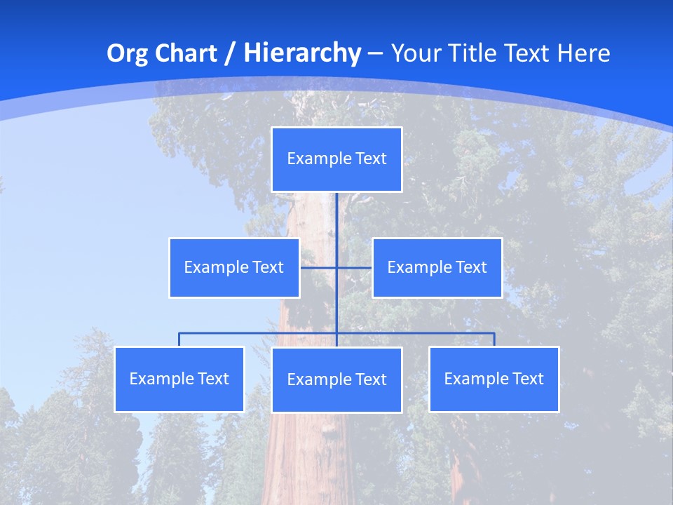 Sequoia National Park Green PowerPoint Template