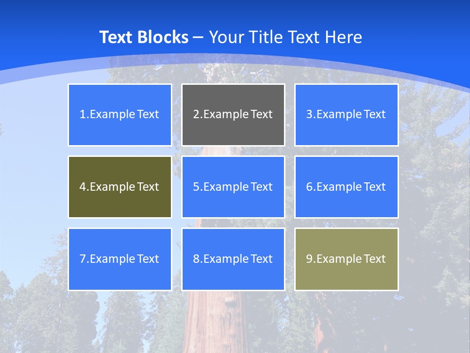 Sequoia National Park Green PowerPoint Template