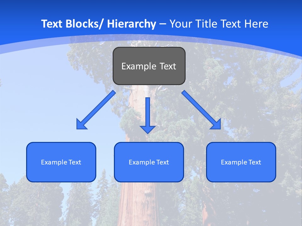 Sequoia National Park Green PowerPoint Template