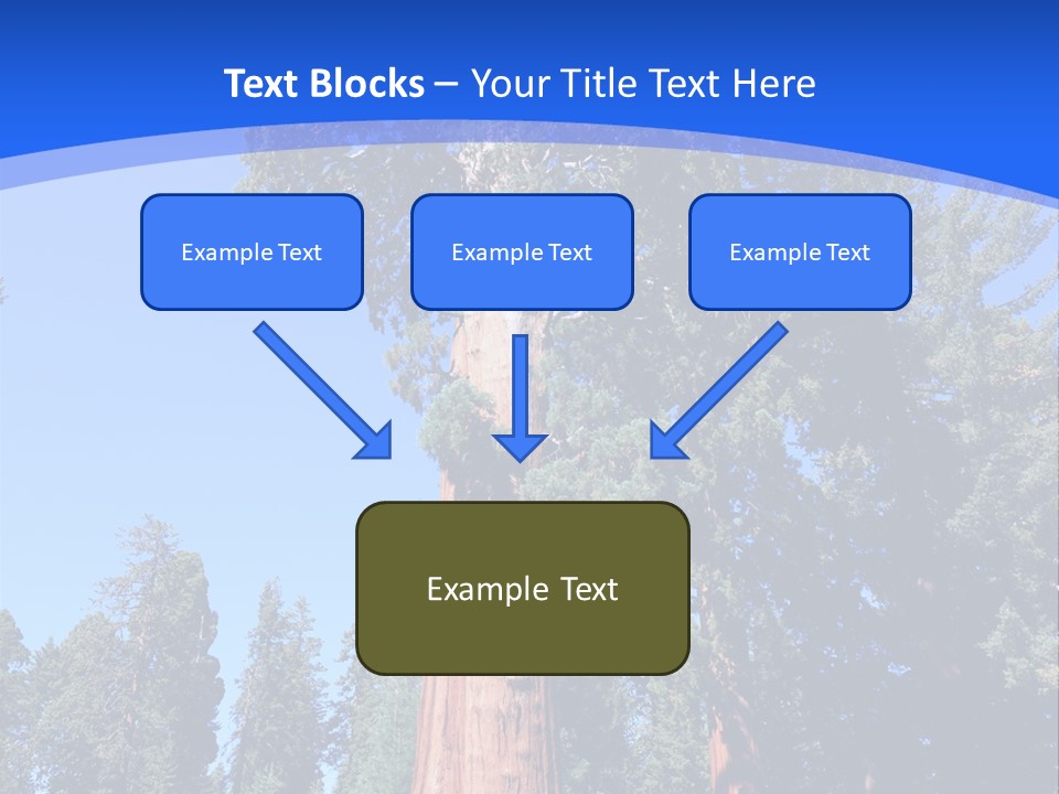 Sequoia National Park Green PowerPoint Template