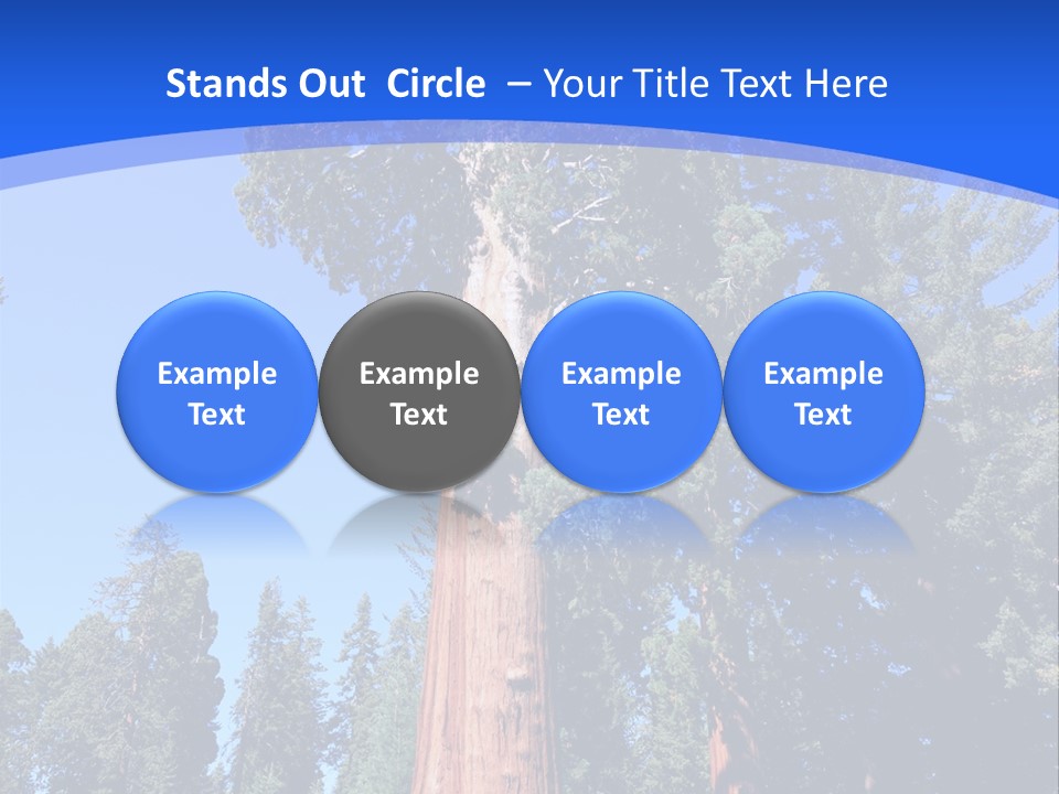 Sequoia National Park Green PowerPoint Template