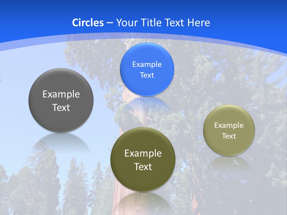 Sequoia National Park Green PowerPoint Template