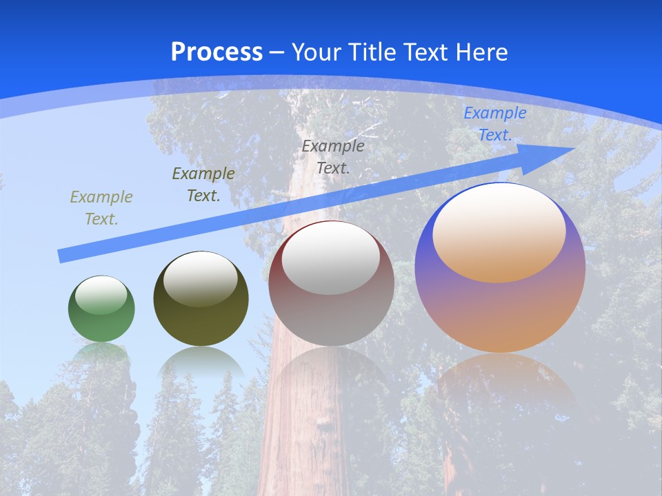 Sequoia National Park Green PowerPoint Template