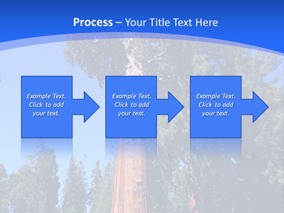 Sequoia National Park Green PowerPoint Template