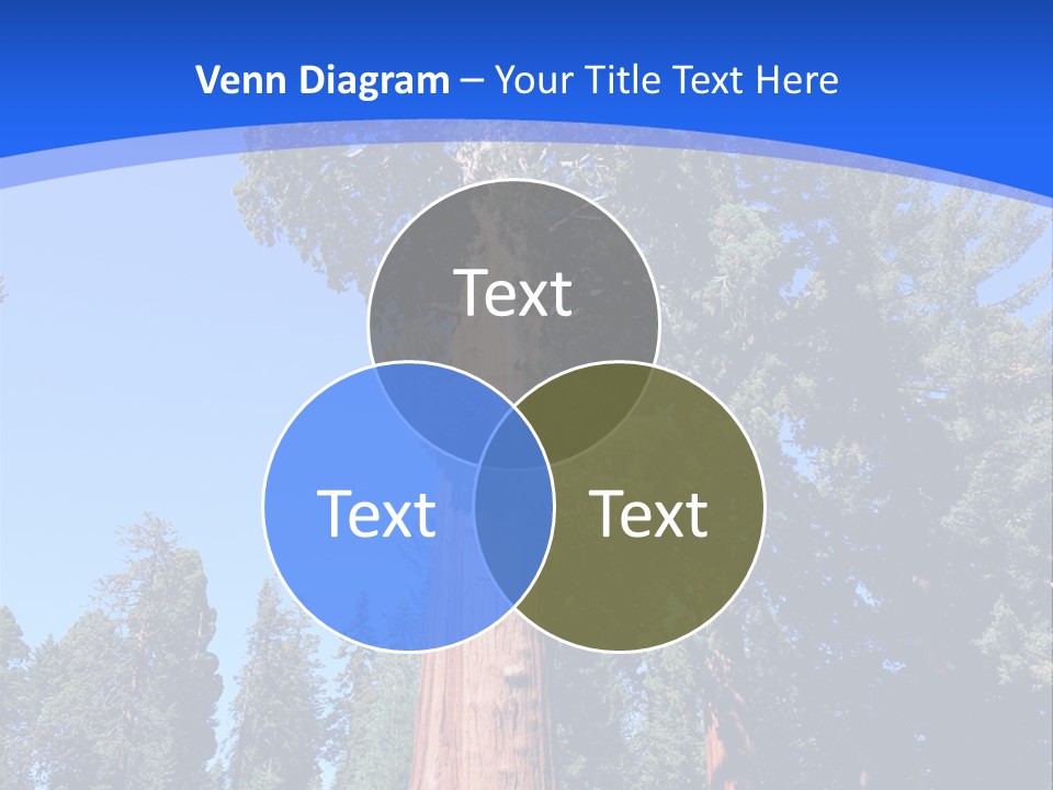 Sequoia National Park Green PowerPoint Template