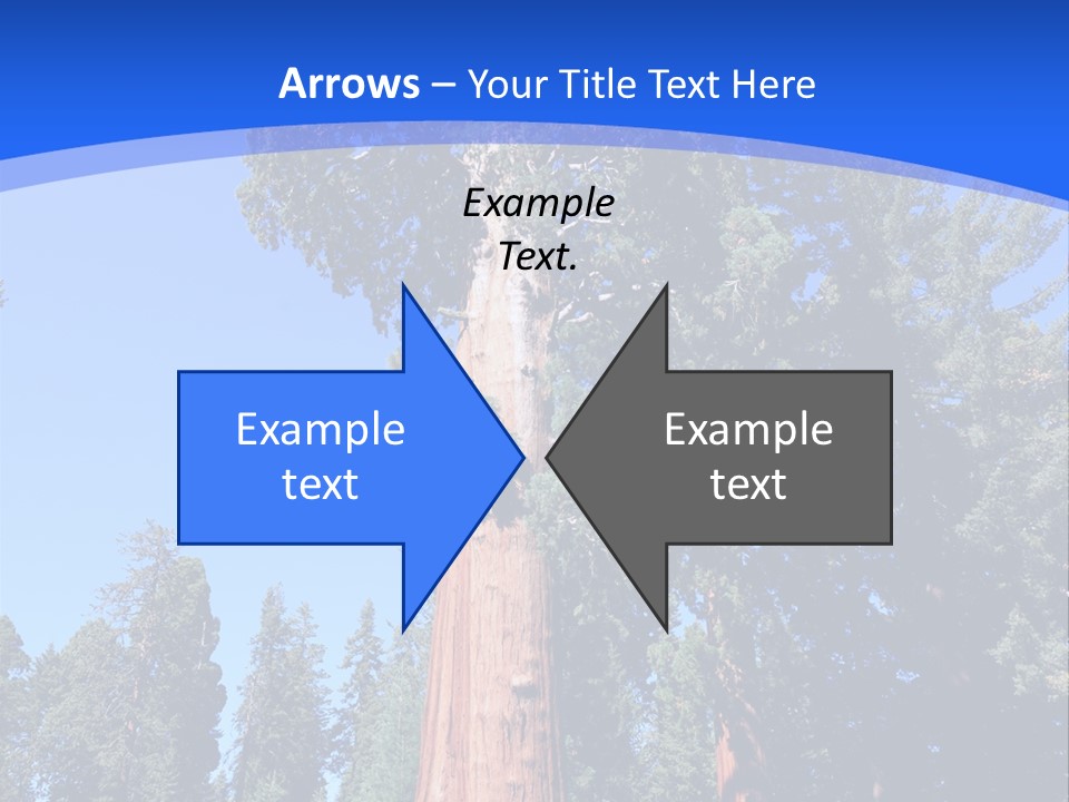 Sequoia National Park Green PowerPoint Template