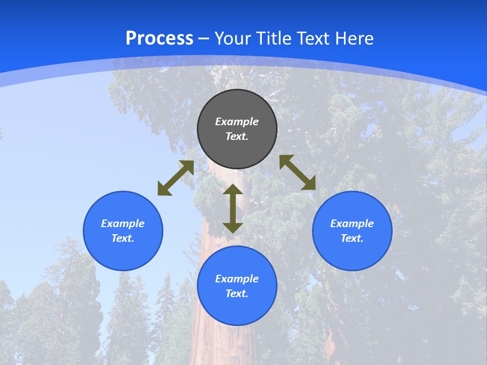 Sequoia National Park Green PowerPoint Template