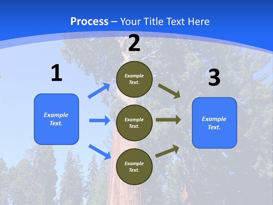 Sequoia National Park Green PowerPoint Template