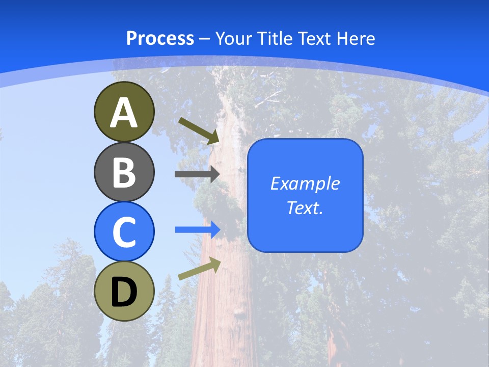 Sequoia National Park Green PowerPoint Template