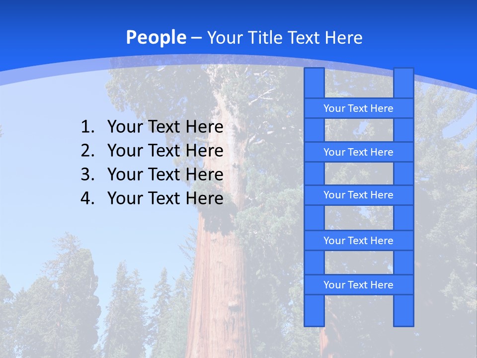 Sequoia National Park Green PowerPoint Template