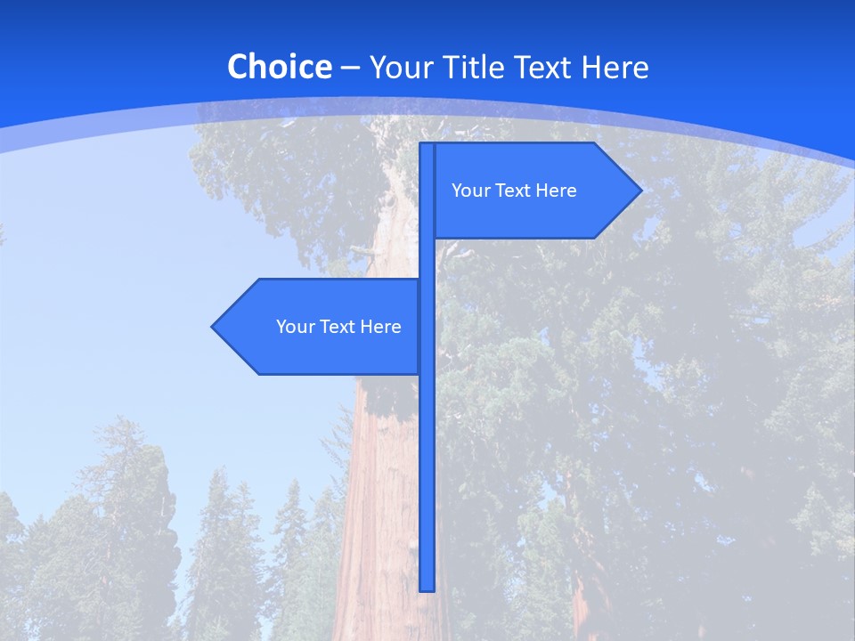 Sequoia National Park Green PowerPoint Template