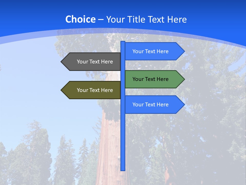 Sequoia National Park Green PowerPoint Template