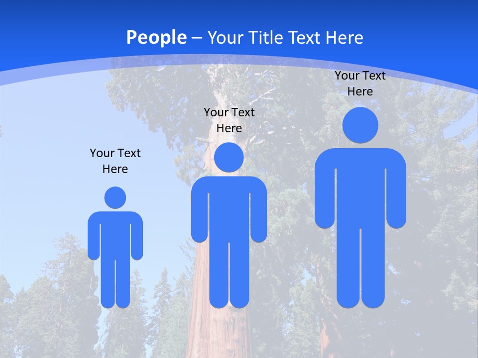 Sequoia National Park Green PowerPoint Template