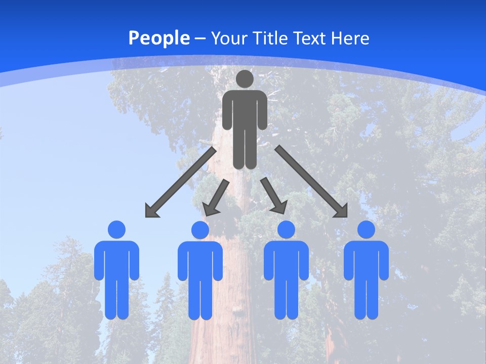 Sequoia National Park Green PowerPoint Template