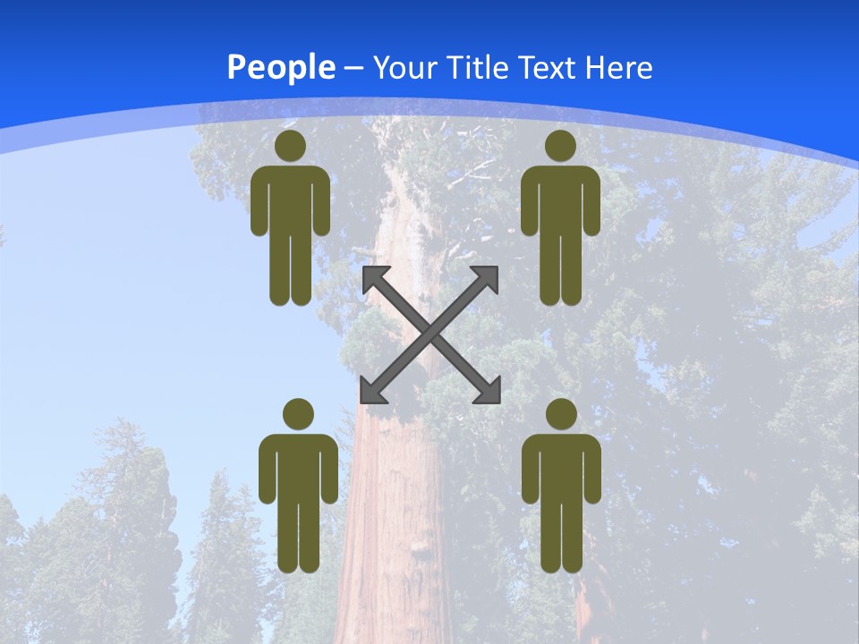 Sequoia National Park Green PowerPoint Template