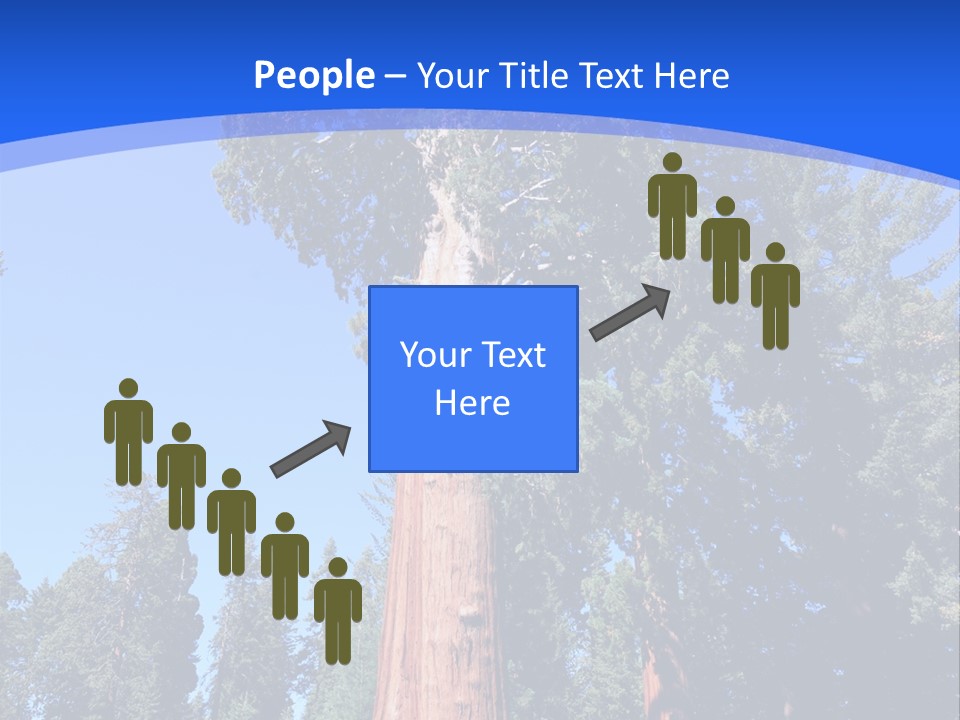 Sequoia National Park Green PowerPoint Template