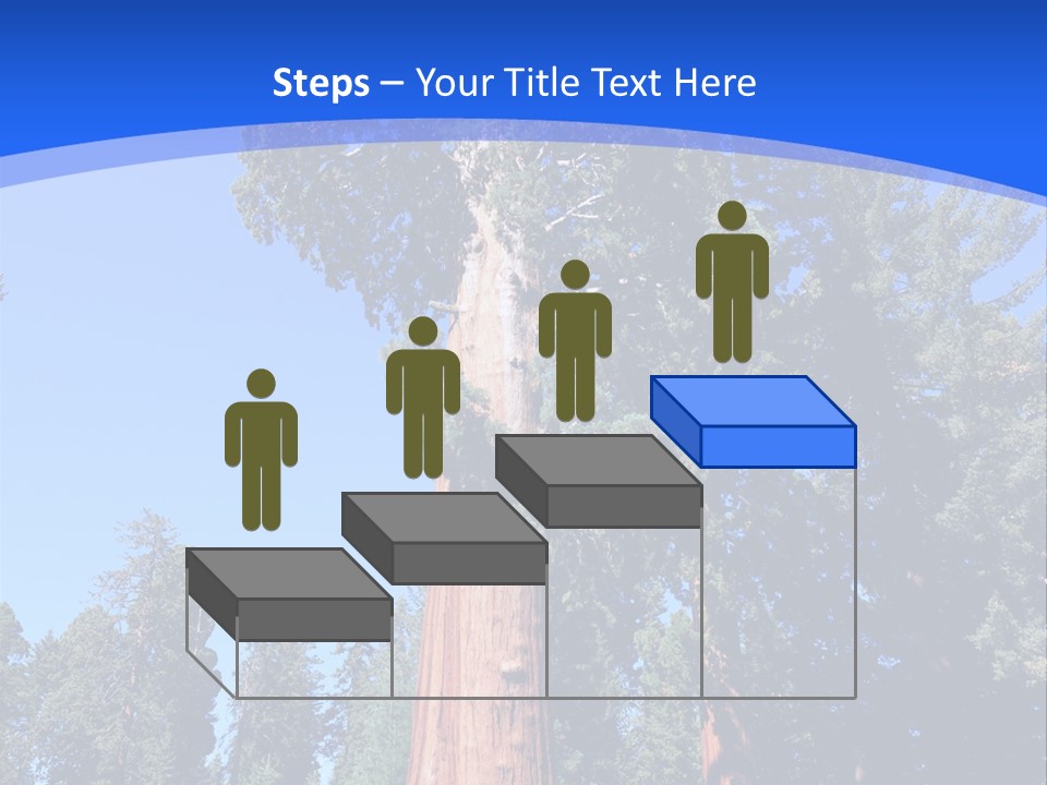 Sequoia National Park Green PowerPoint Template
