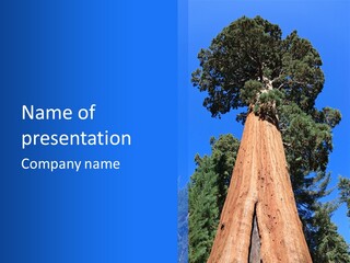 Countryside California Outdoor PowerPoint Template