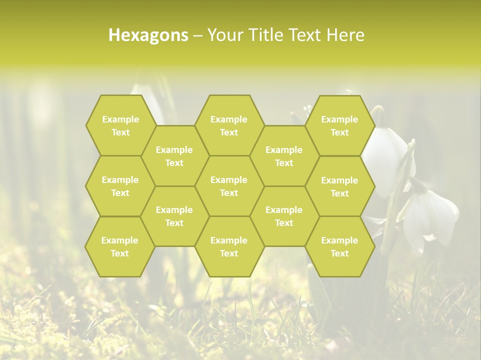 Sparkle Plant Spring PowerPoint Template