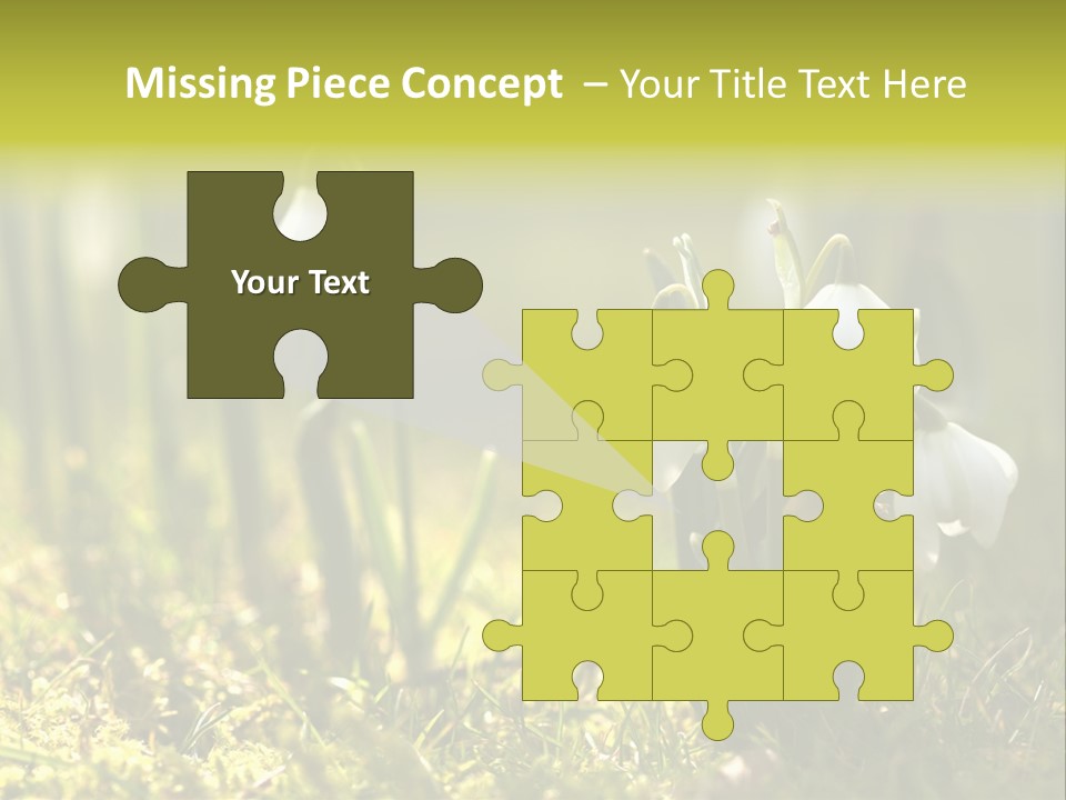 Sparkle Plant Spring PowerPoint Template