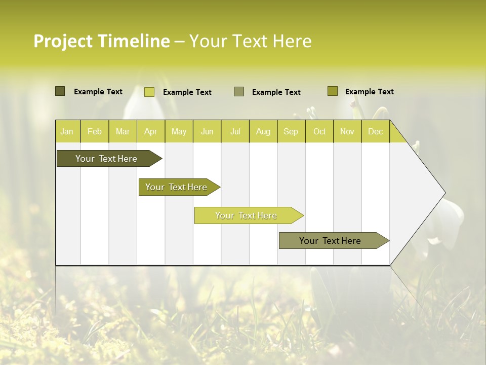 Sparkle Plant Spring PowerPoint Template