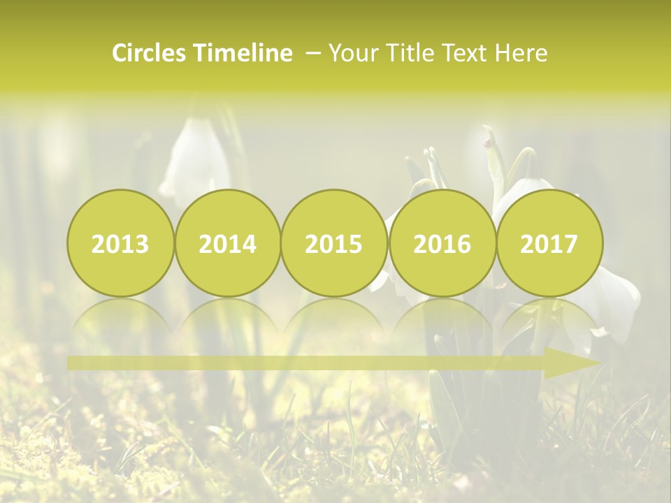 Sparkle Plant Spring PowerPoint Template