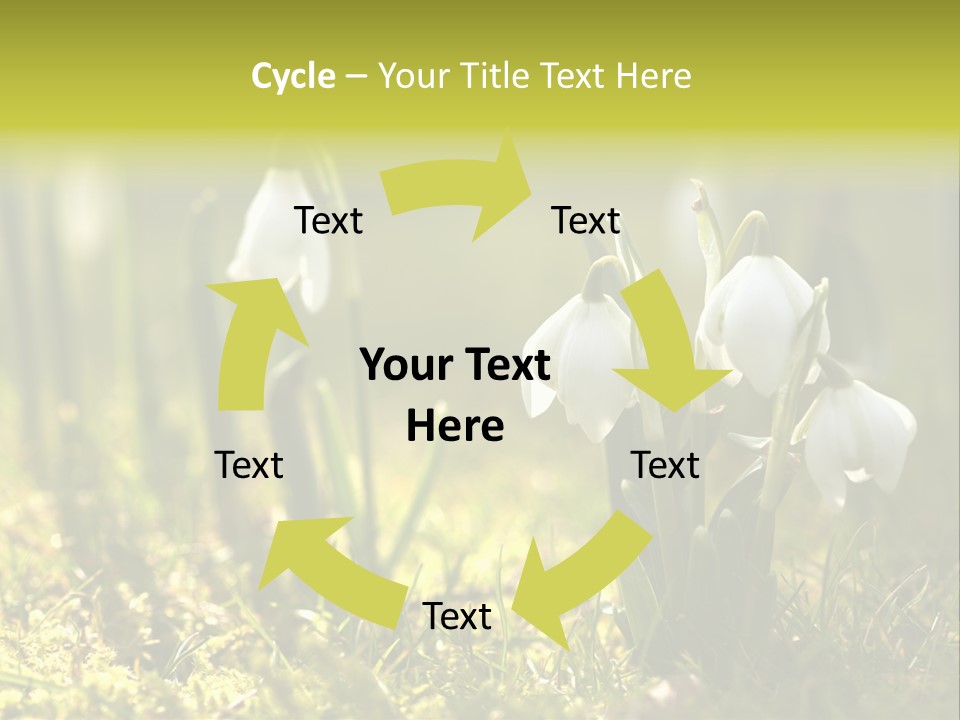 Sparkle Plant Spring PowerPoint Template