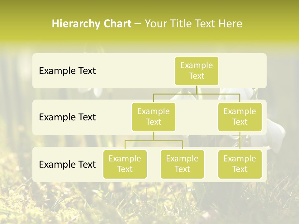 Sparkle Plant Spring PowerPoint Template