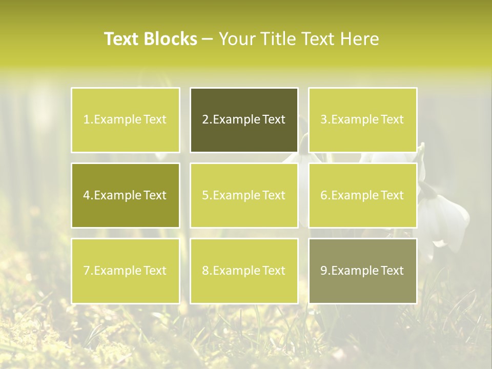 Sparkle Plant Spring PowerPoint Template