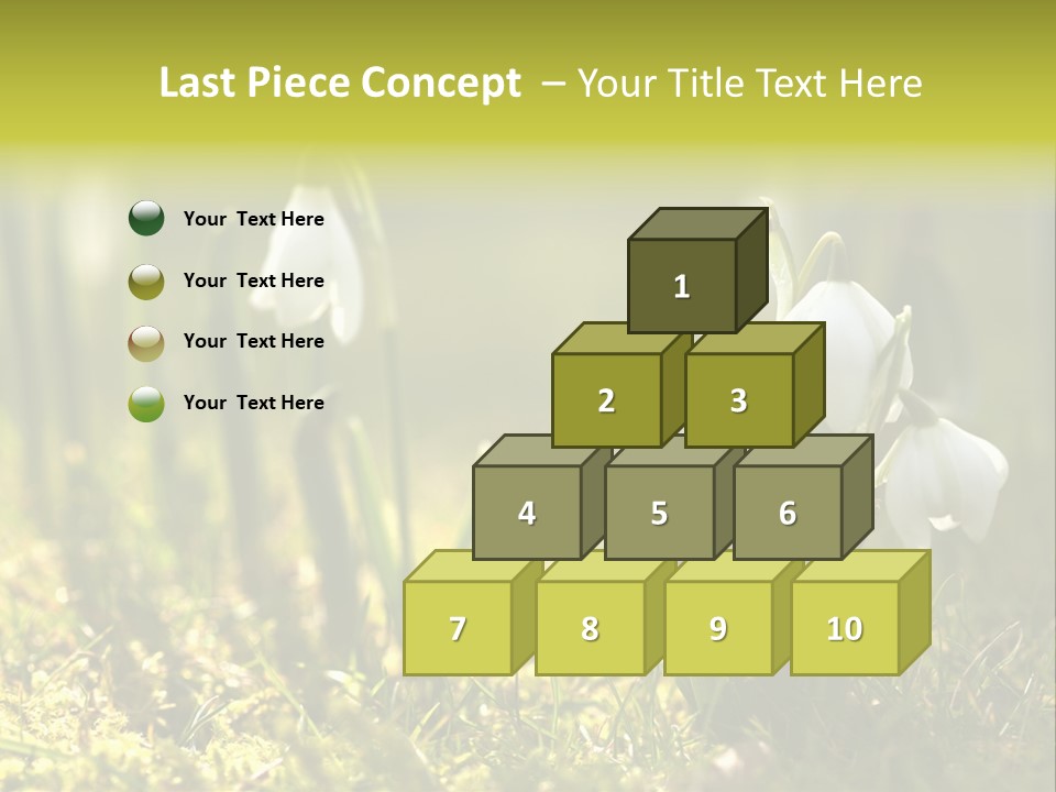 Sparkle Plant Spring PowerPoint Template