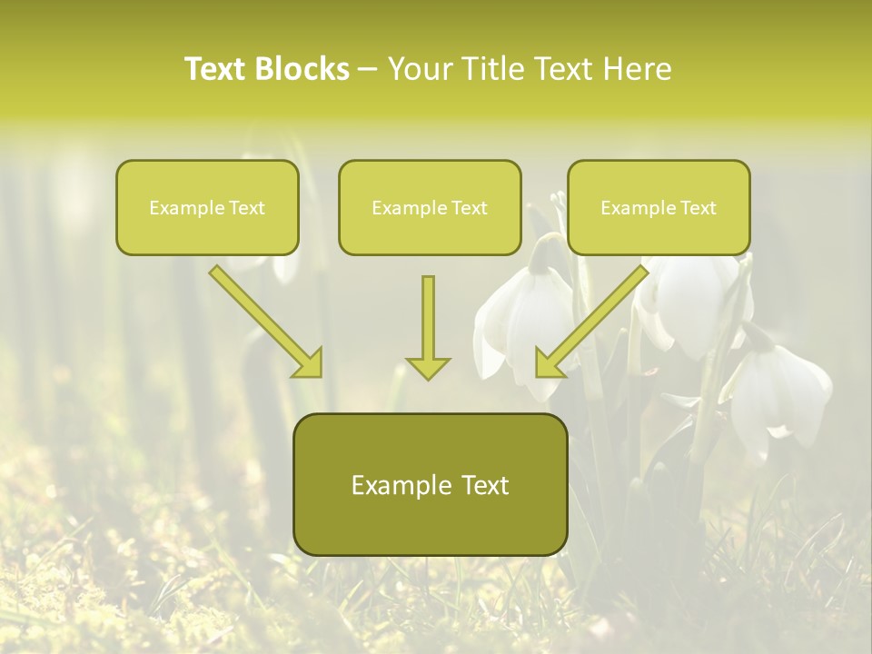 Sparkle Plant Spring PowerPoint Template