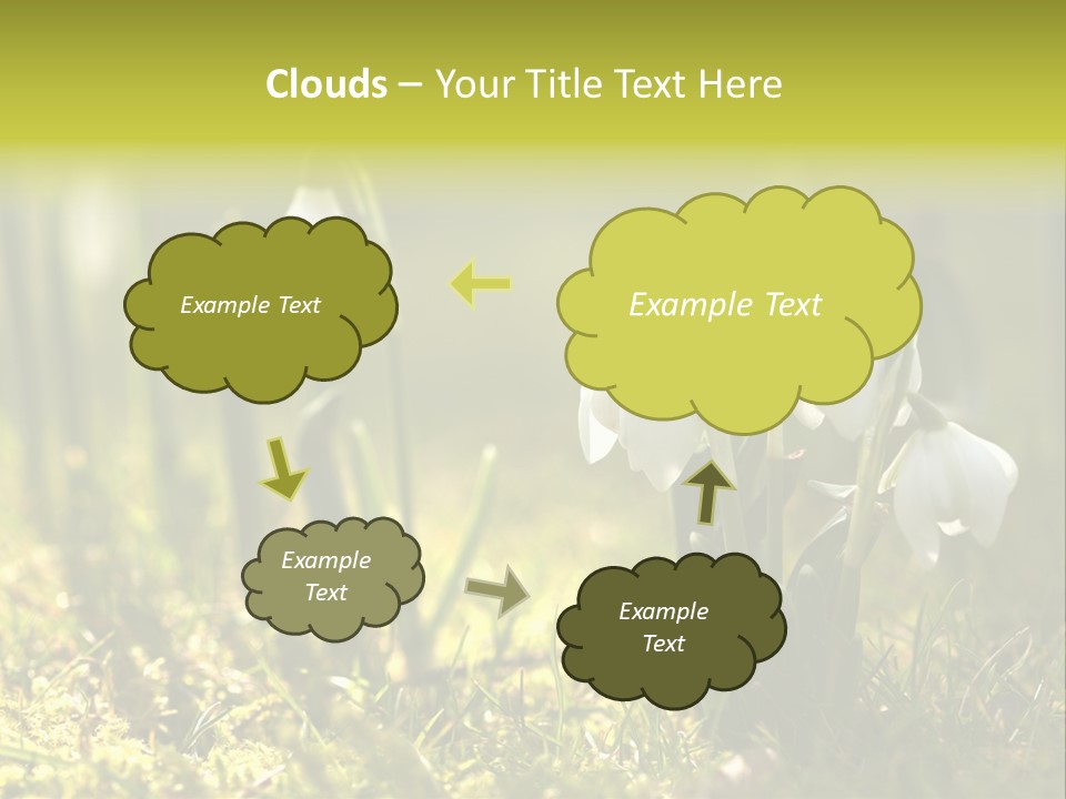 Sparkle Plant Spring PowerPoint Template