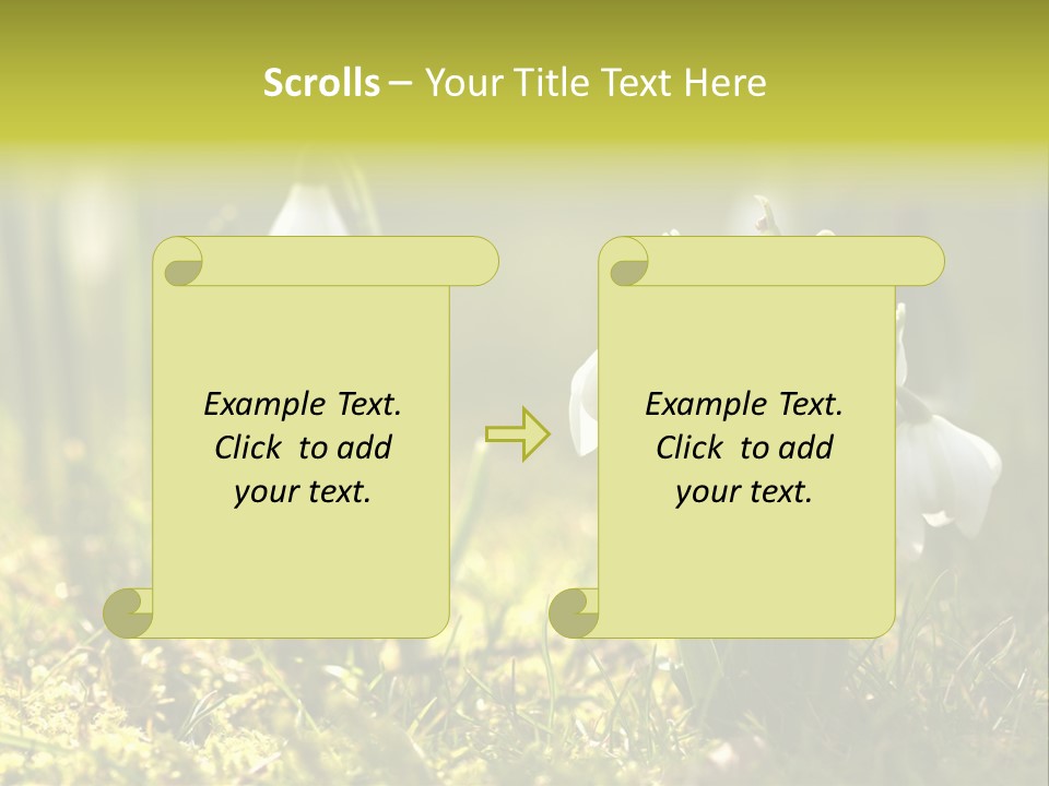 Sparkle Plant Spring PowerPoint Template