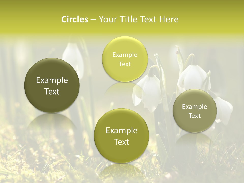 Sparkle Plant Spring PowerPoint Template