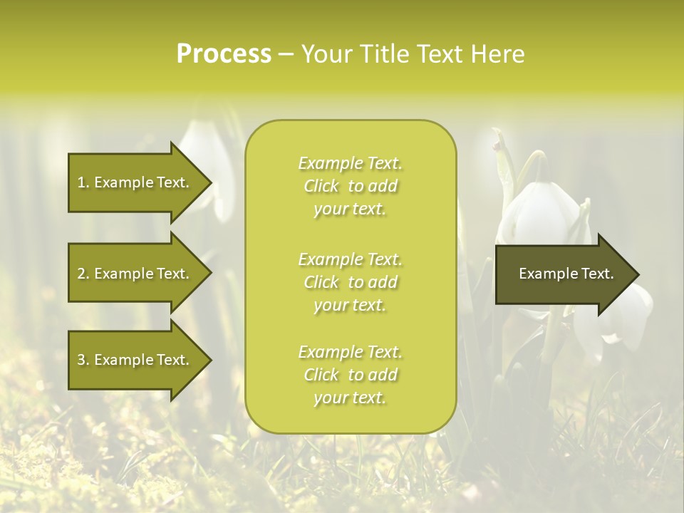 Sparkle Plant Spring PowerPoint Template