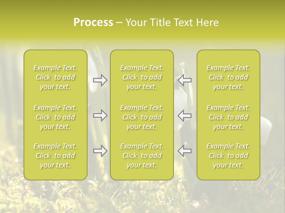 Sparkle Plant Spring PowerPoint Template