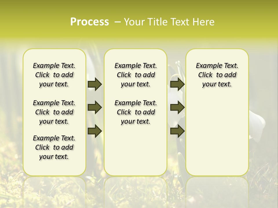 Sparkle Plant Spring PowerPoint Template