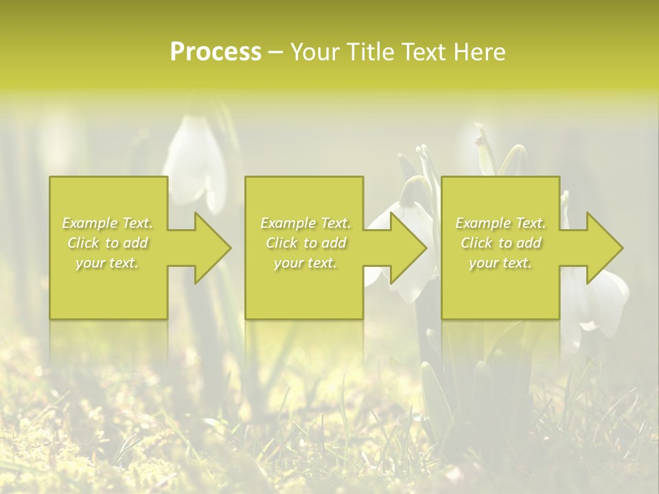 Sparkle Plant Spring PowerPoint Template