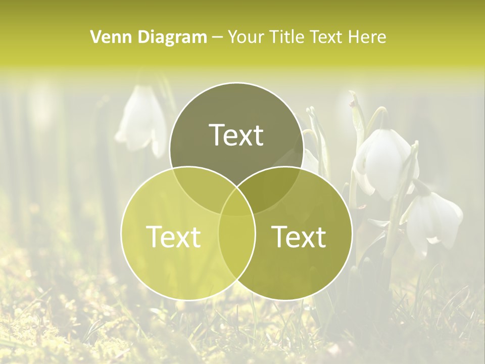 Sparkle Plant Spring PowerPoint Template