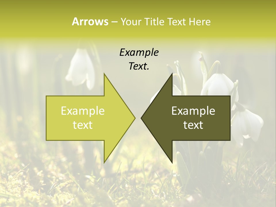 Sparkle Plant Spring PowerPoint Template