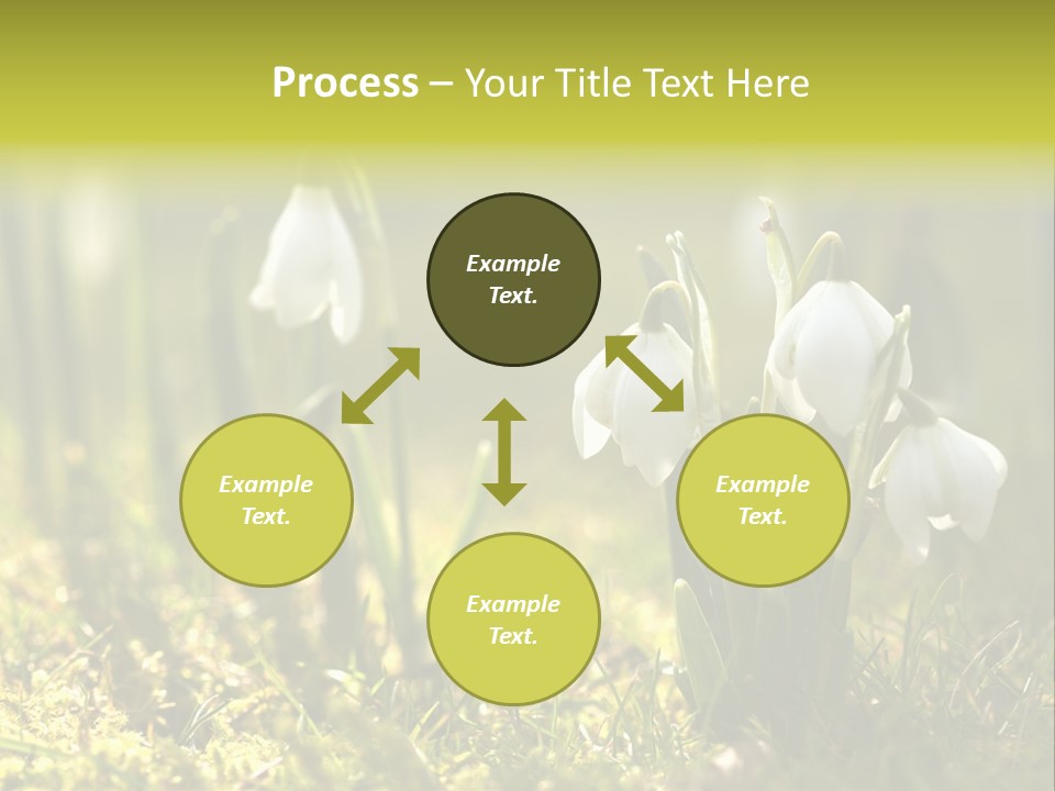 Sparkle Plant Spring PowerPoint Template