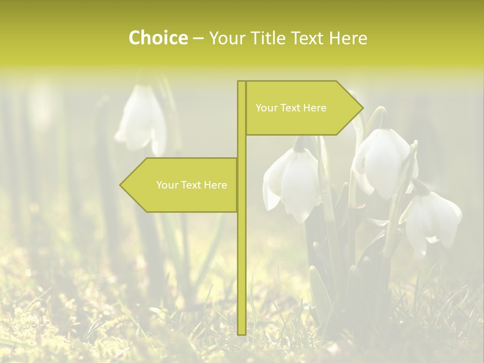 Sparkle Plant Spring PowerPoint Template