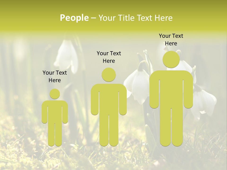 Sparkle Plant Spring PowerPoint Template