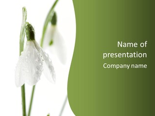 Grow Blossom Natural PowerPoint Template