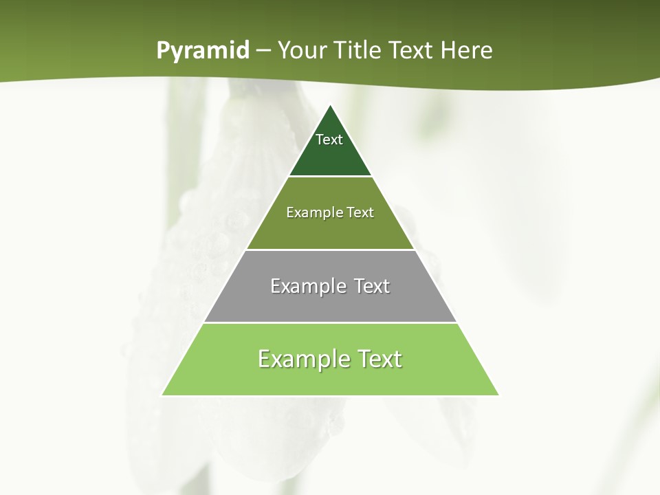 Grow Blossom Natural PowerPoint Template