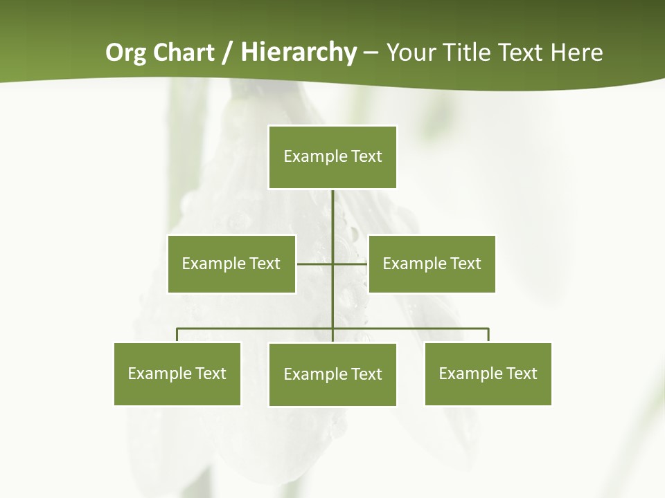 Grow Blossom Natural PowerPoint Template