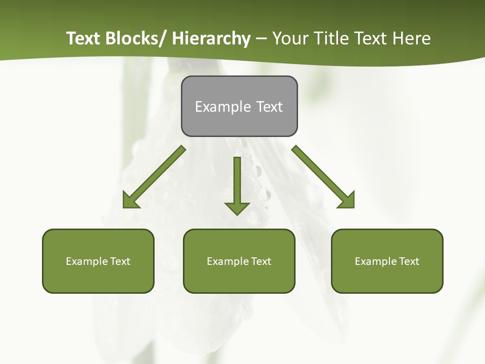 Grow Blossom Natural PowerPoint Template