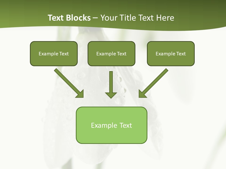 Grow Blossom Natural PowerPoint Template
